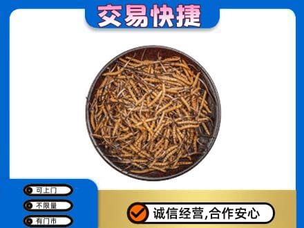 日喀则仁布县高价回收散虫草